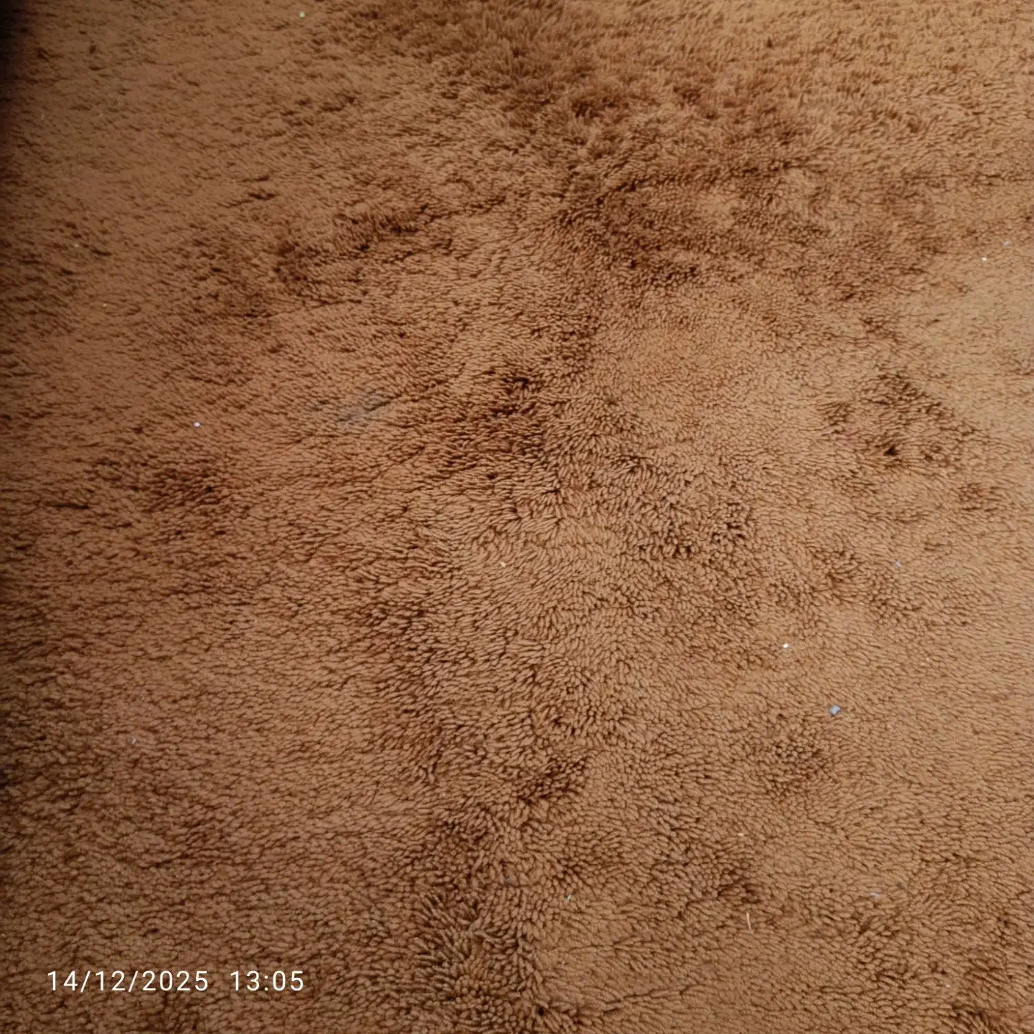 موکت پرز بلند پالاز|موکت|تهران, سلسبیل شمالی|دیوار