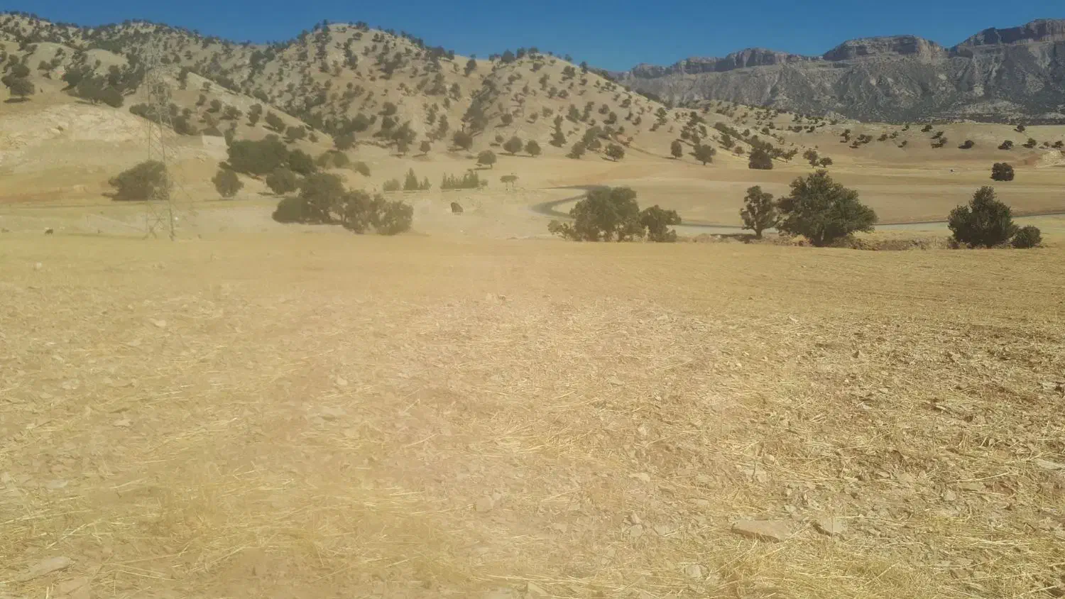 زمین کشاورزی|فروش زمین و ملک کلنگی|چوار, |دیوار