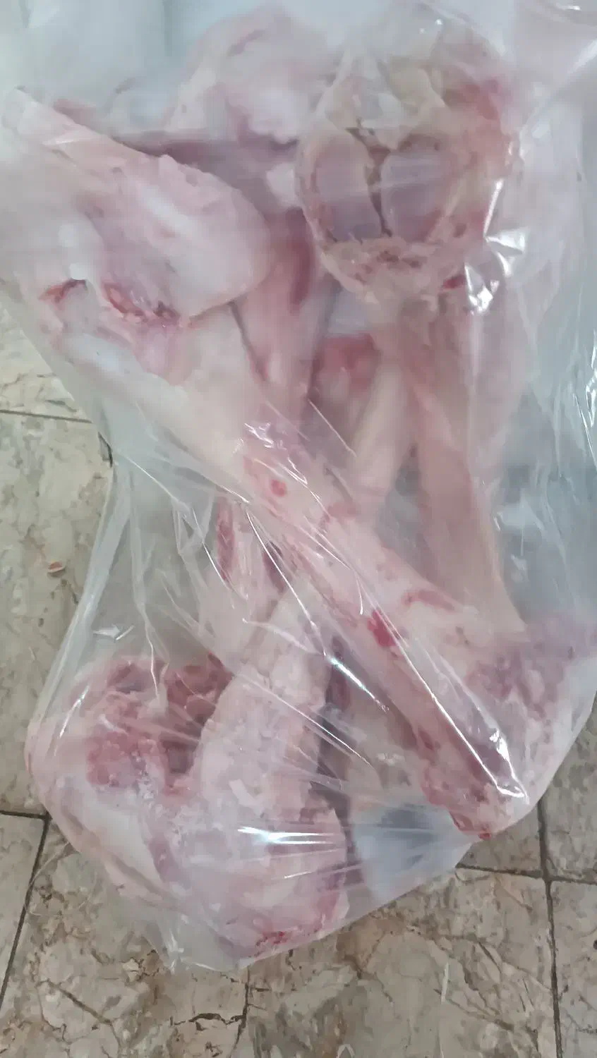 قلم گوساله .شتر|خوردنی و آشامیدنی|مشهد, کارگران|دیوار