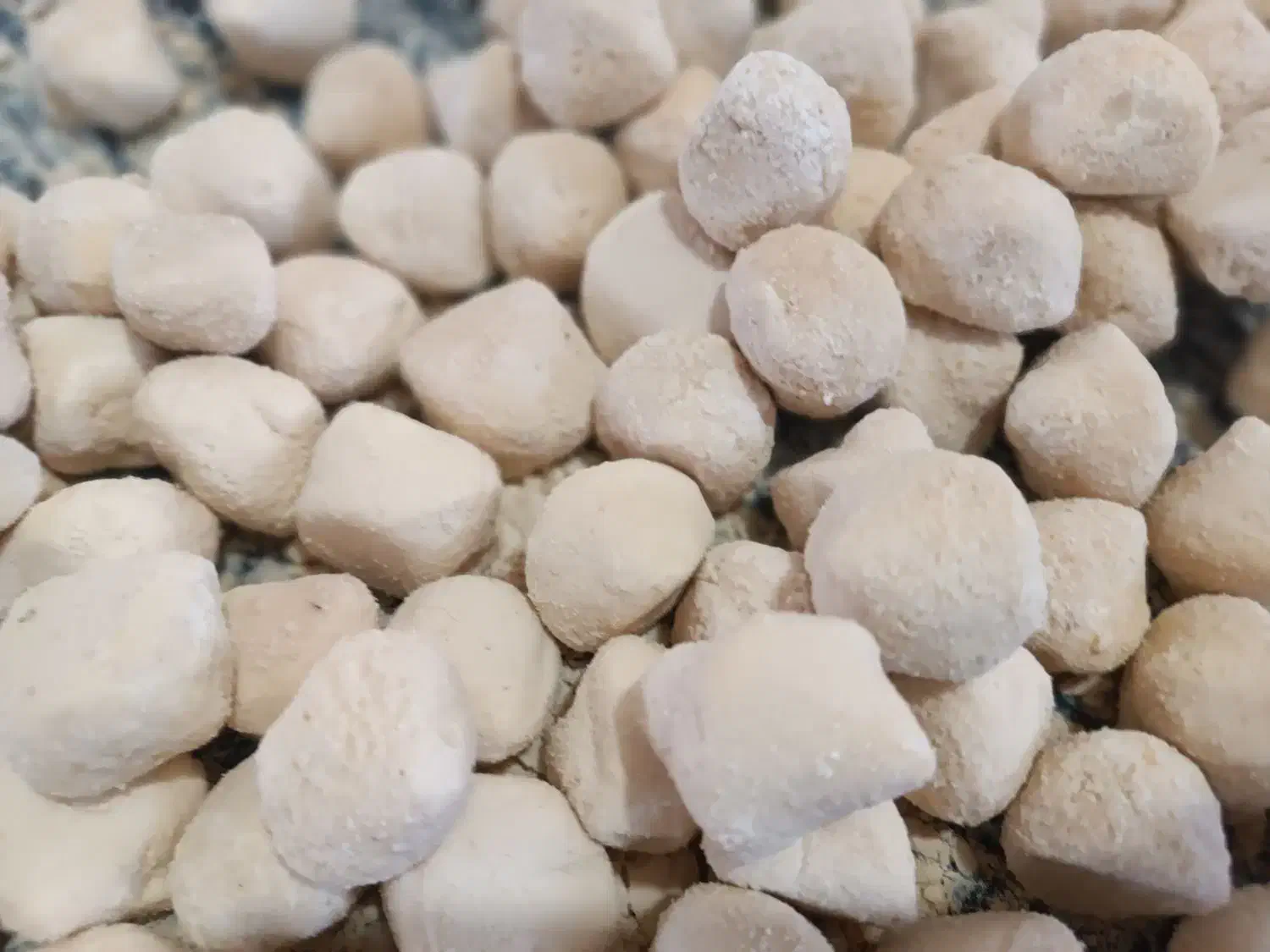 کشکی|حراج|کرمان, |دیوار