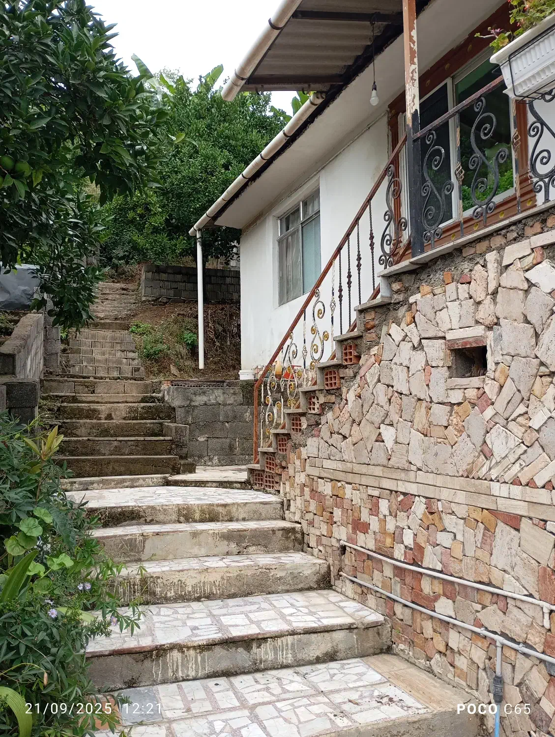 اجاره ویلا جنگلی تک خوابه|اجارهٔ کوتاه‌مدت ویلا و باغ|چالوس, |دیوار