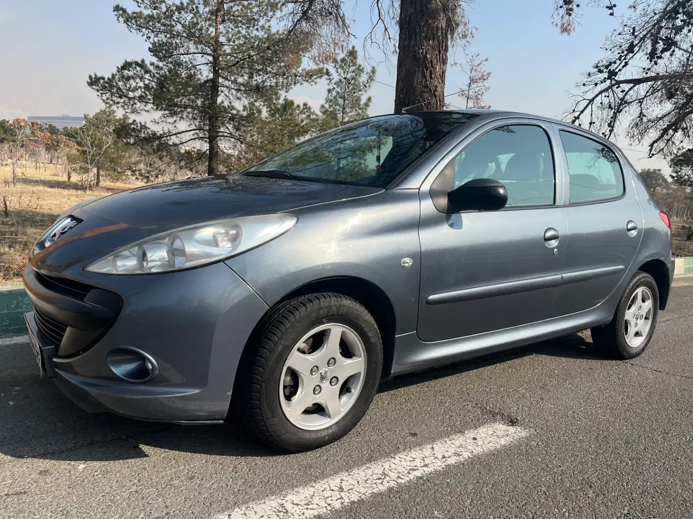 پژو ۲۰۷ مدل ۹۰|خودرو سواری و وانت|تهران, آزادشهر|دیوار