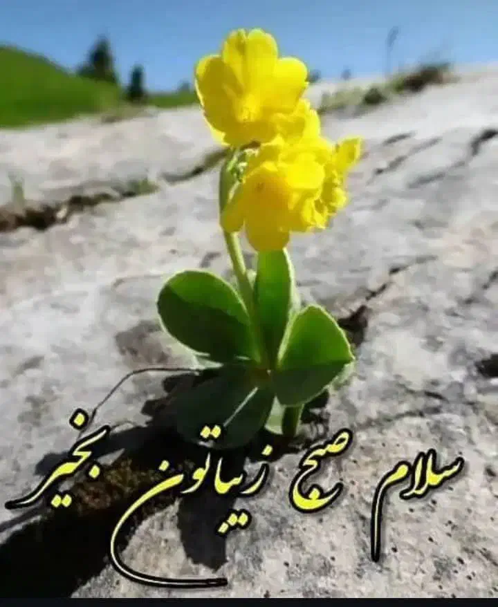 باغشهر|فروش خانه و ویلا|بیضا, |دیوار