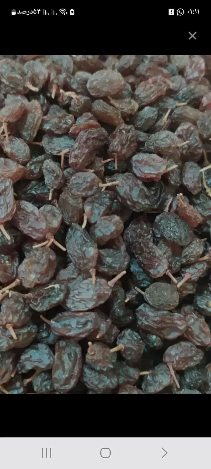 فروش کشمش آفتابی تاکستان|خوردنی و آشامیدنی|لاهیجان, کوی آزادگان|دیوار