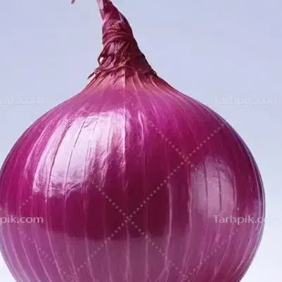 پیاز چکی م ی خ و ا هم|خوردنی و آشامیدنی|کوار, |دیوار