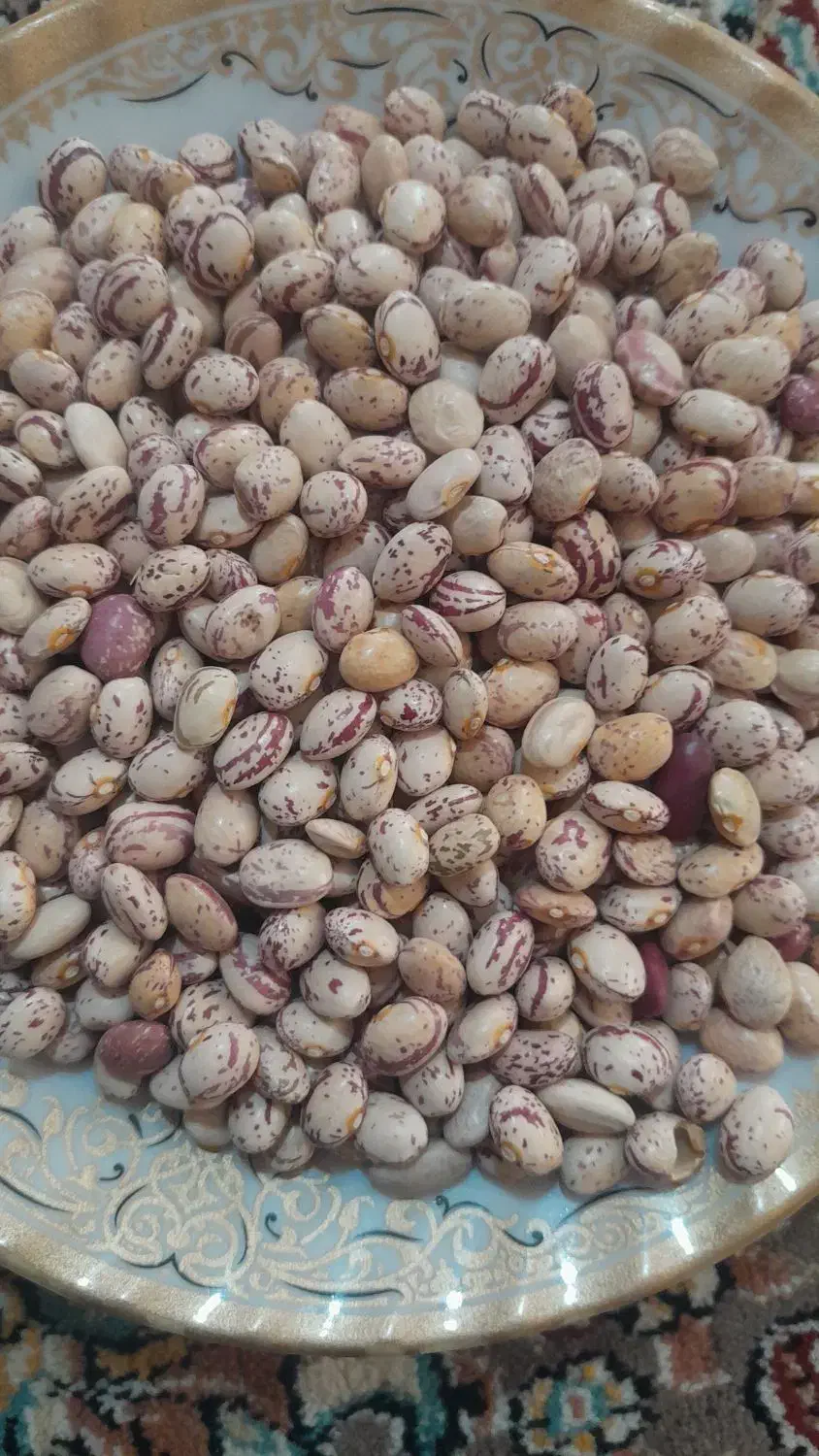 لوبیا|خوردنی و آشامیدنی|زرقان, |دیوار