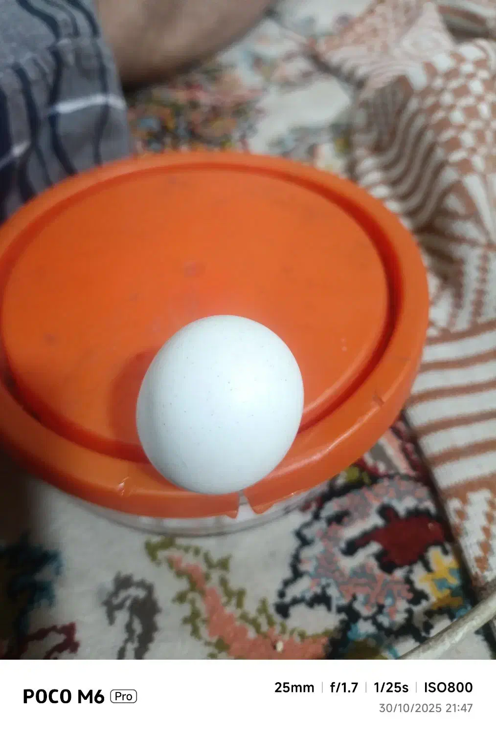 سنگ اسیاب|کلکسیون اشیاء عتیقه|دماوند, دماوند|دیوار