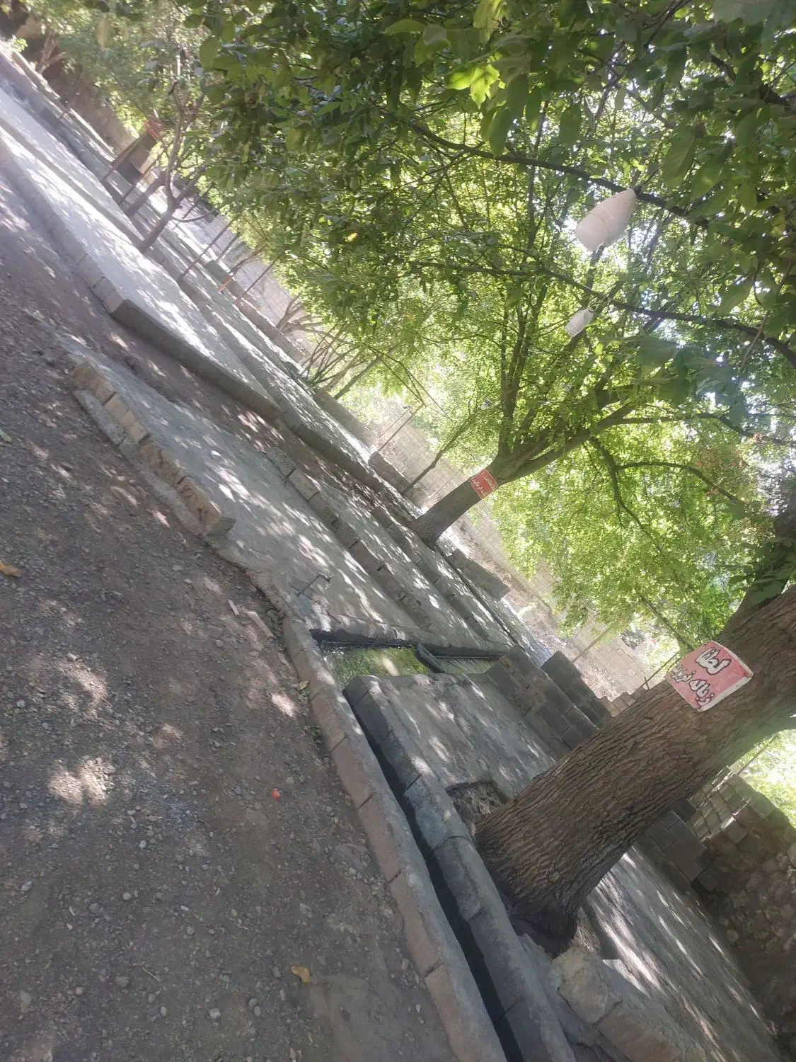 اجاره باغ وسوییت|اجارهٔ کوتاه‌مدت ویلا و باغ|بیستون, |دیوار