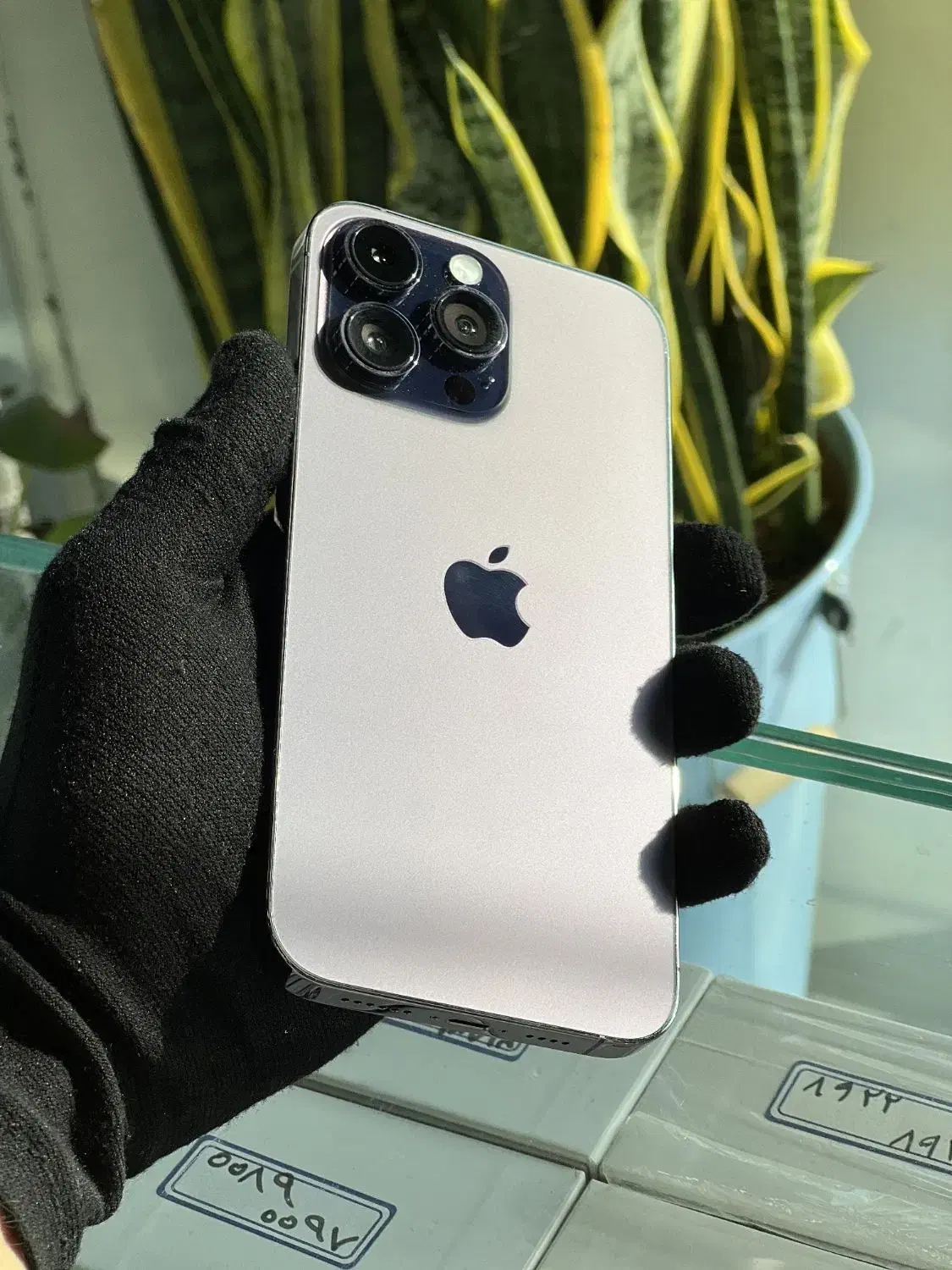 اپل iphone 14 Pro Max 256 بنفش|موبایل|یزد, |دیوار