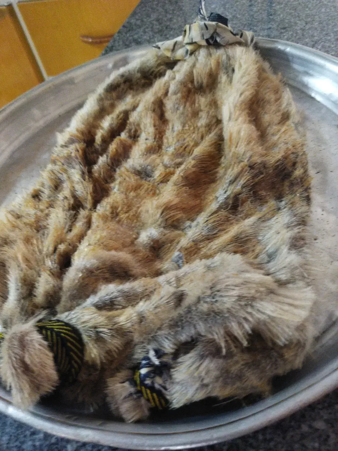 خیگ|صنایع دستی و سایر لوازم تزئینی|ایذه, |دیوار