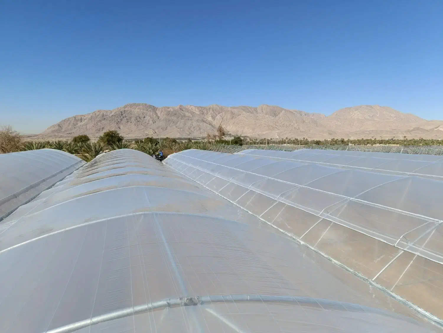 گلخانه|خدمات پیشه و مهارت|یاسوج, |دیوار