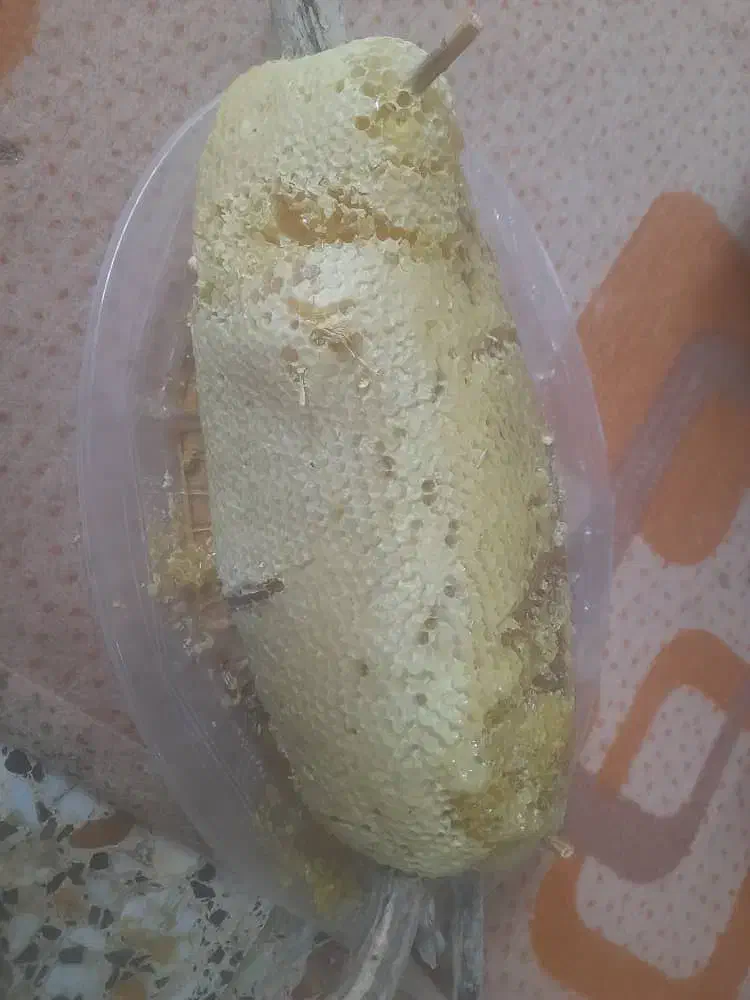 عسل کوهی وحشی ارسال به تمام نقاط کشور|خوردنی و آشامیدنی|فراشبند, |دیوار