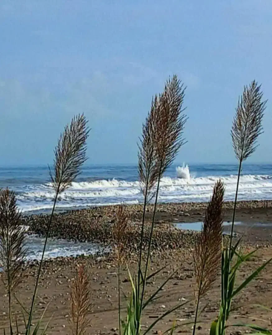 ویلا ساحلی  دریا بیشه تهاتر  با تهران کرج|فروش خانه و ویلا|رویان, |دیوار