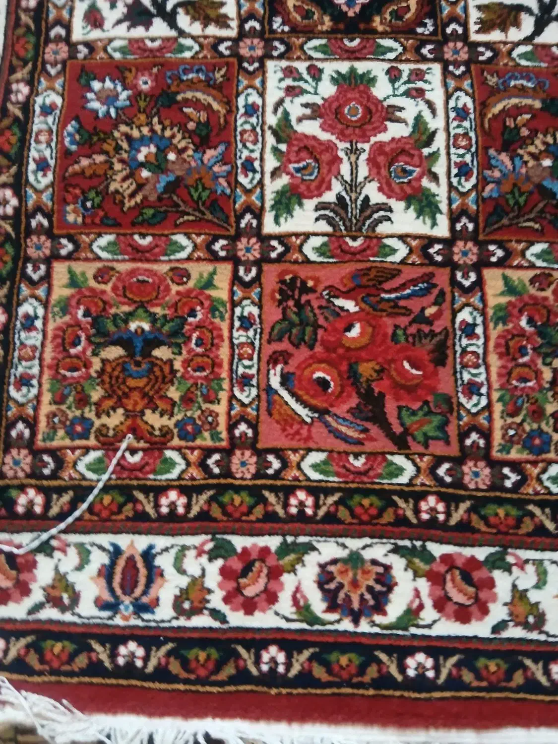 قالی دستبافت|فرش|شهرکرد, |دیوار