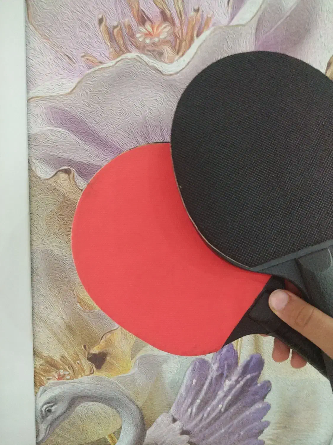 راکت پینگ پنگ|تجهیزات ورزشی|بیرجند, |دیوار