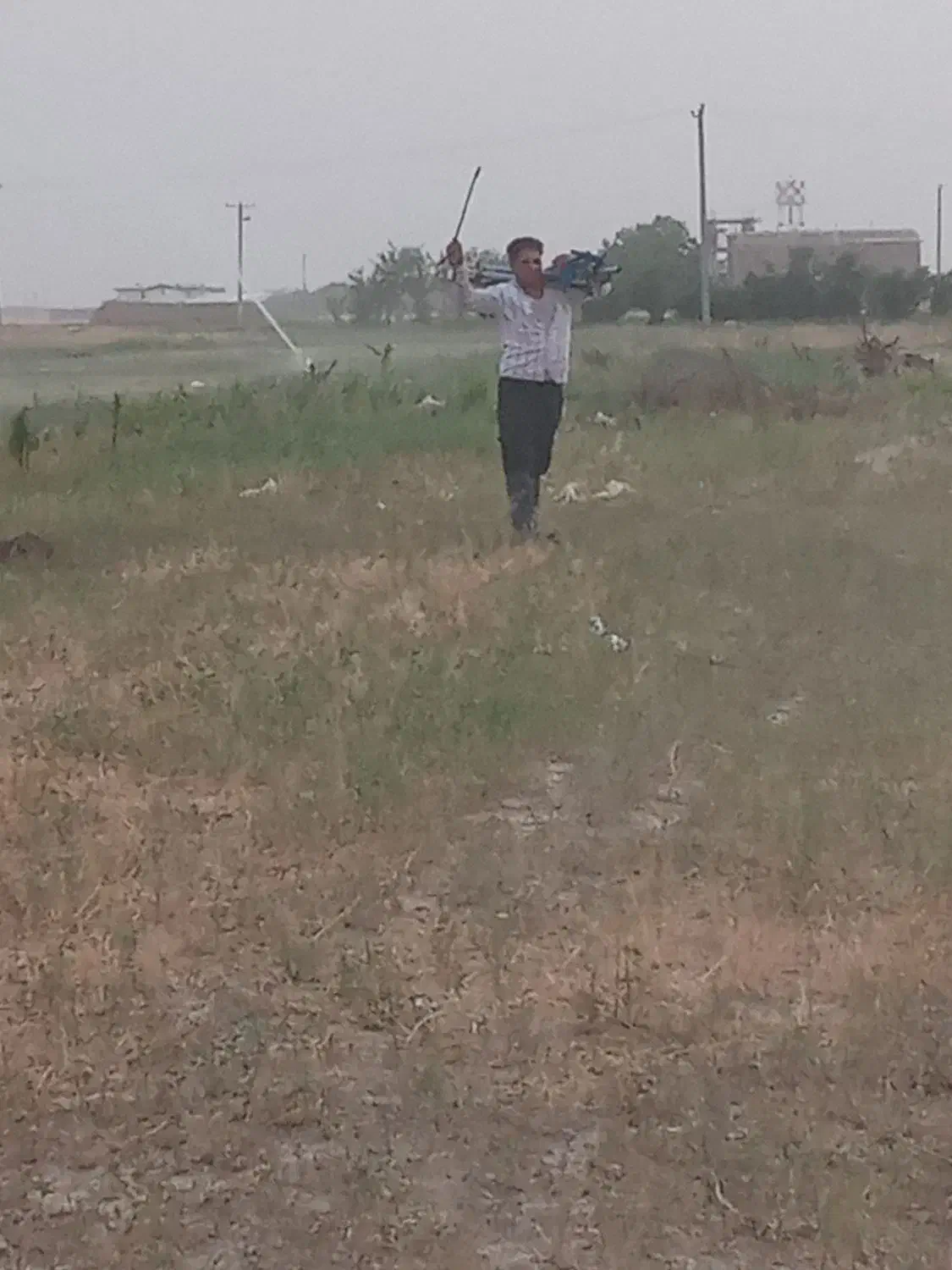 سلام اجاره زمین کشاورزی برای کاشت سیر|اجارهٔ دفتر صنعتی، کشاورزی، تجاری|کبودرآهنگ, |دیوار