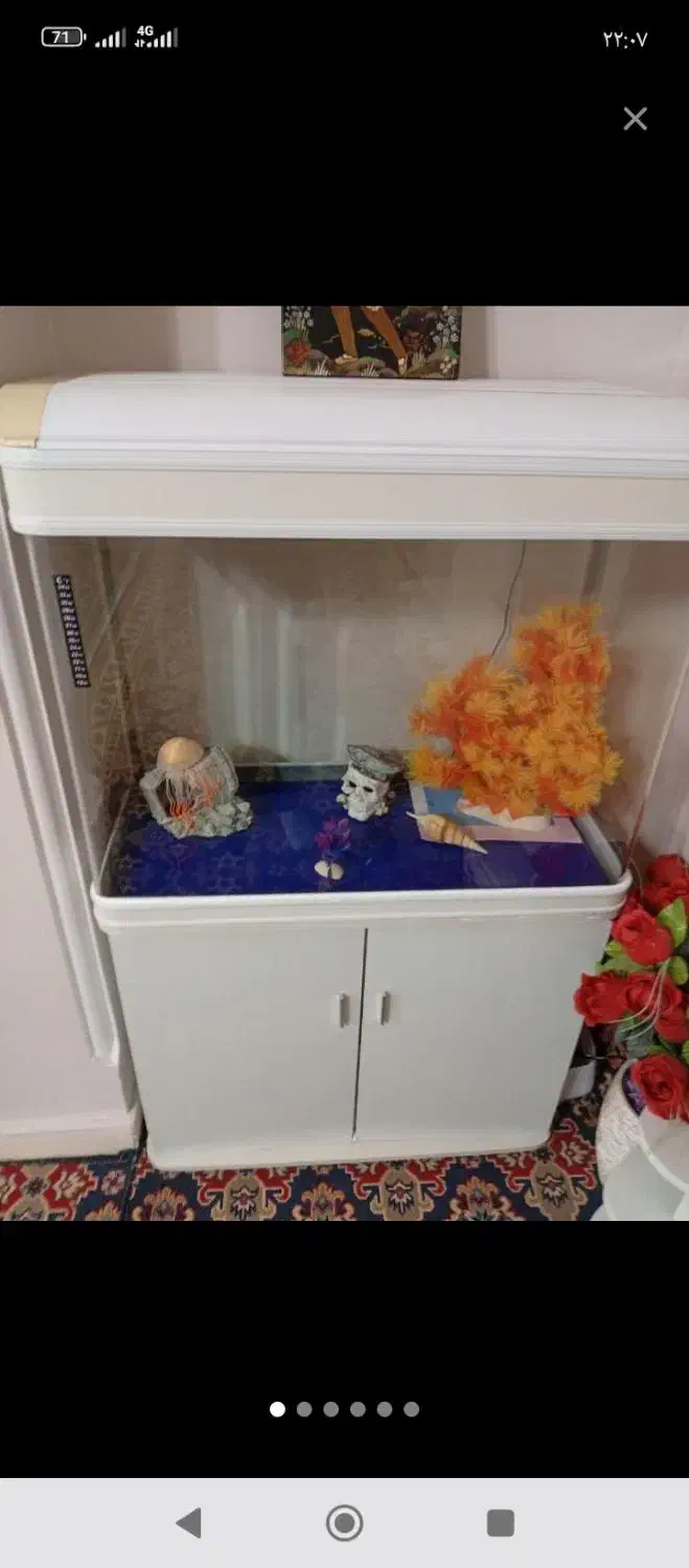 اکواریوم|ماهی|ایلام, |دیوار