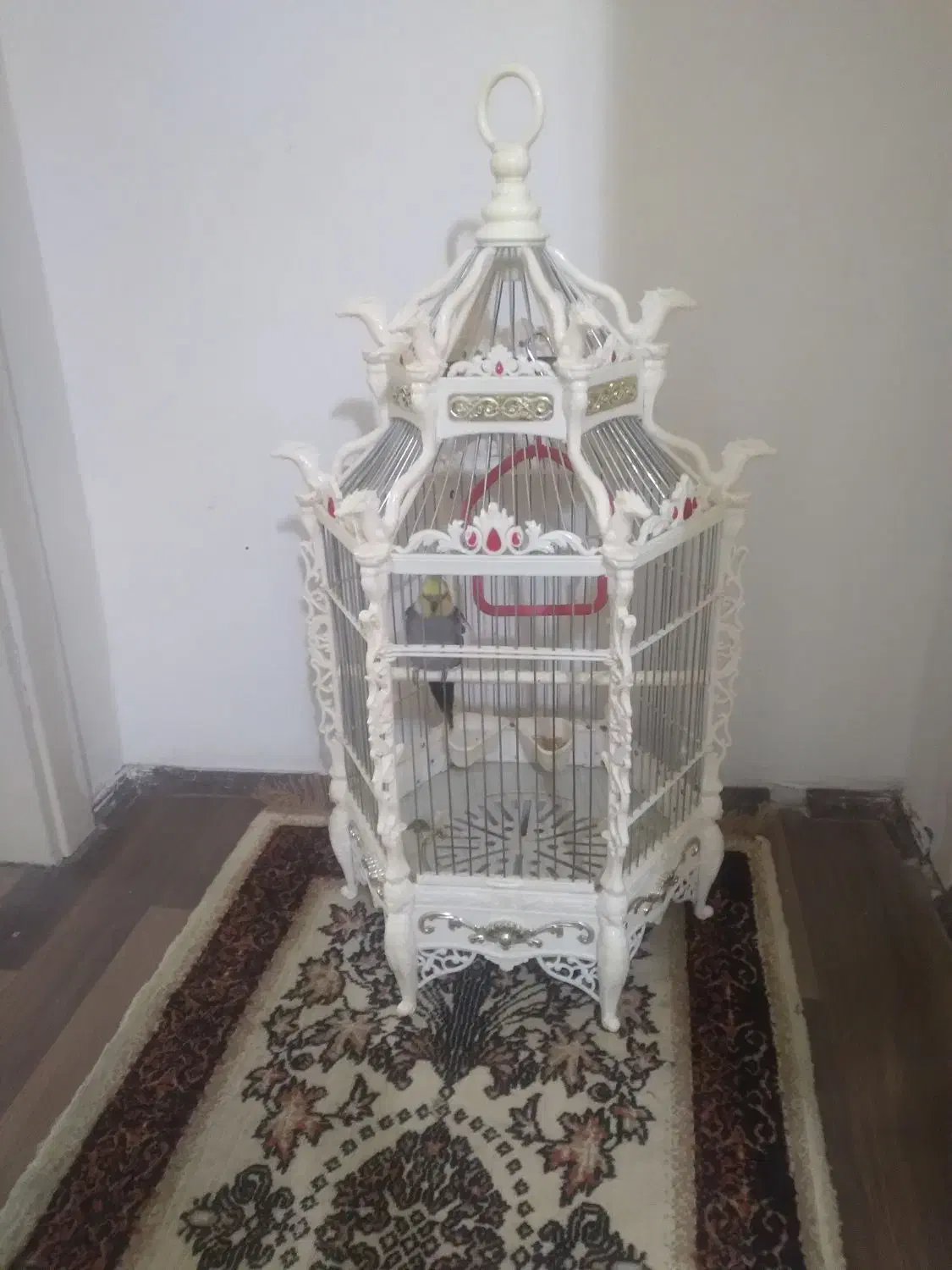 همخانه|اجارهٔ کوتاهمدت آپارتمان و سوئیت|تهران, دردشت|دیوار