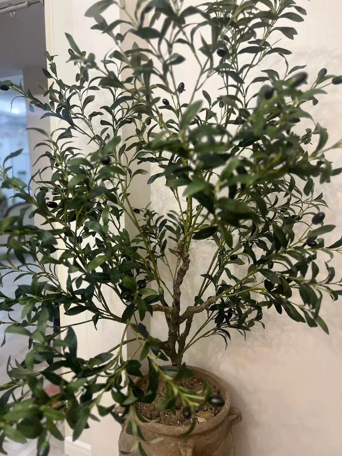 گل مصنوعی(درختچه زیتون)|گل مصنوعی|تهران, تهرانسر شرقی|دیوار