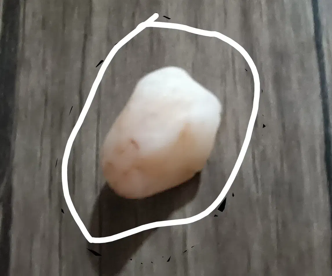 سنگ قیمتی|کلکسیون اشیاء عتیقه|تربت جام, جلگه موسی آباد|دیوار