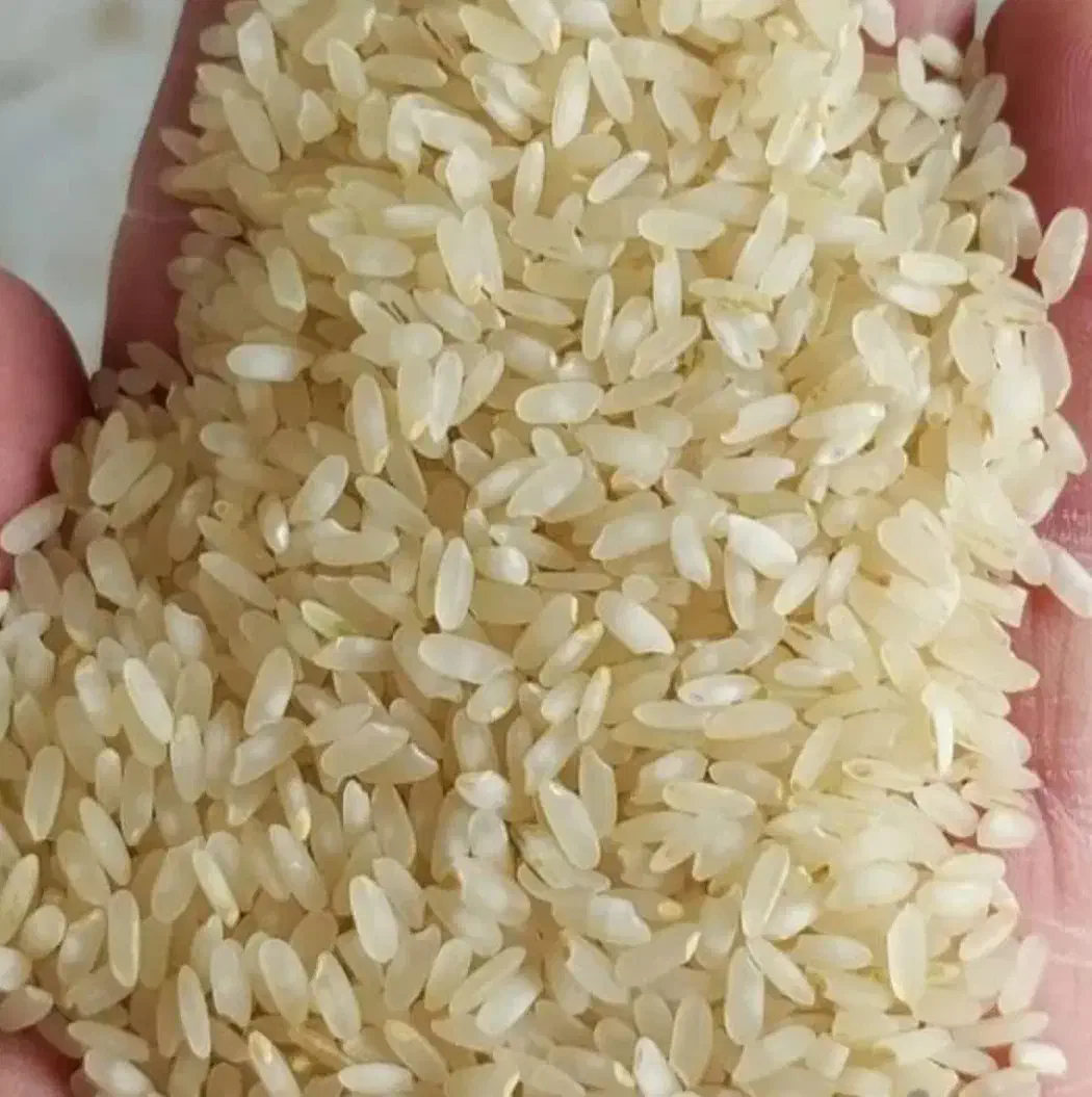 برنج خورده برنج کامفیروزی|خوردنی و آشامیدنی|بانش, |دیوار