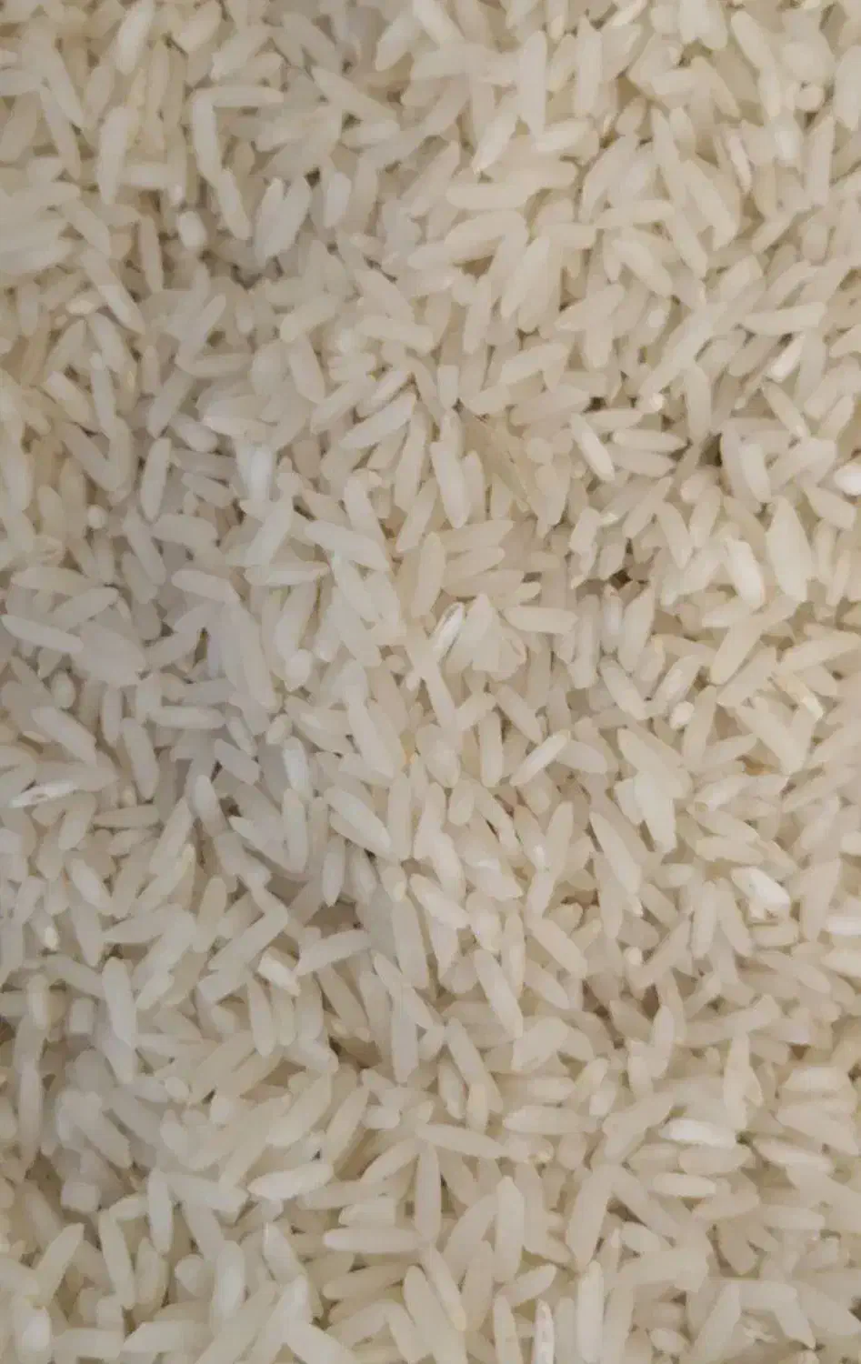 برنج درجه یک الموت و درجه سه|خوردنی و آشامیدنی|محمدیه-قزوین, |دیوار