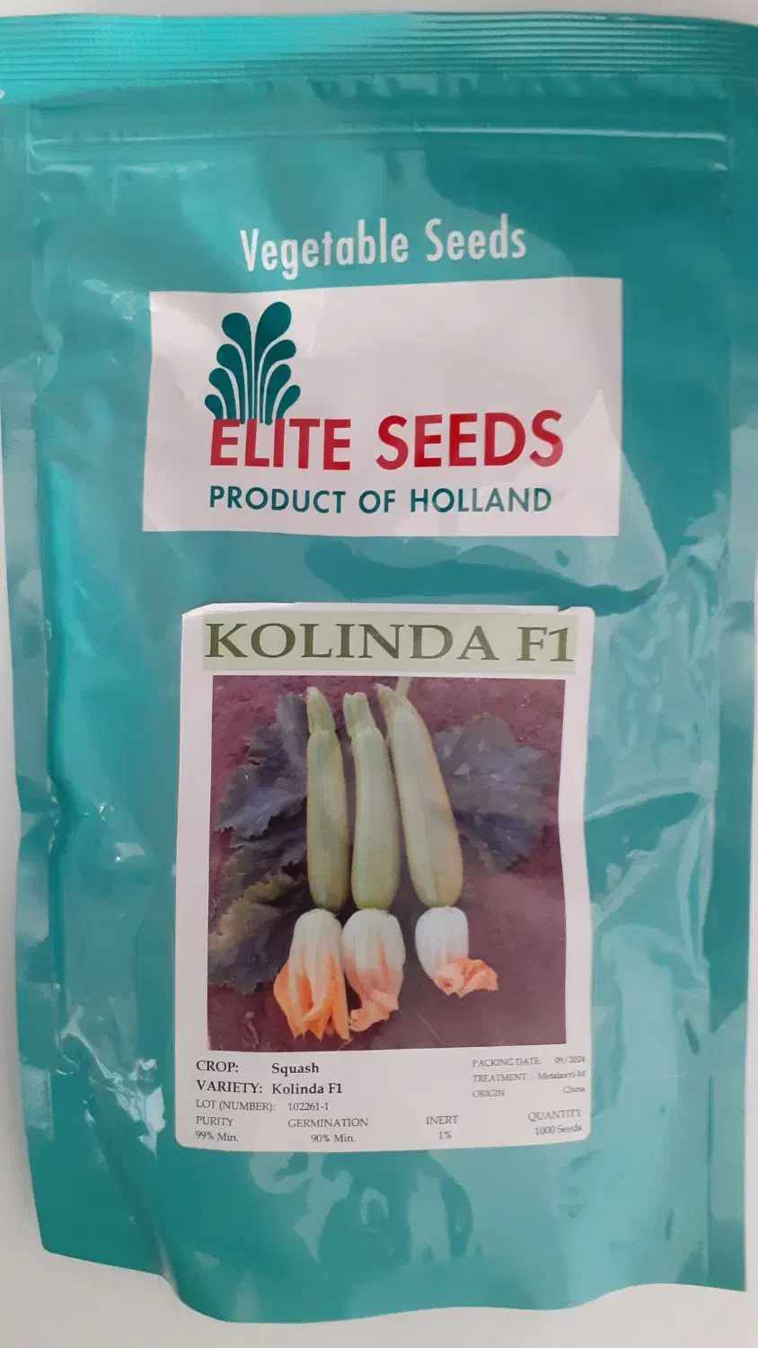 بذر کدو اِلیت|گل و گیاه طبیعی|اندیمشک, |دیوار