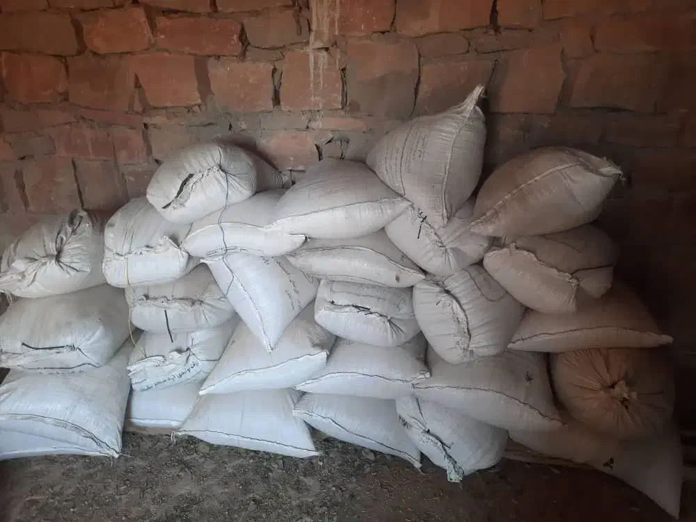 گندم درجه یک|خوردنی و آشامیدنی|اندیکا, |دیوار