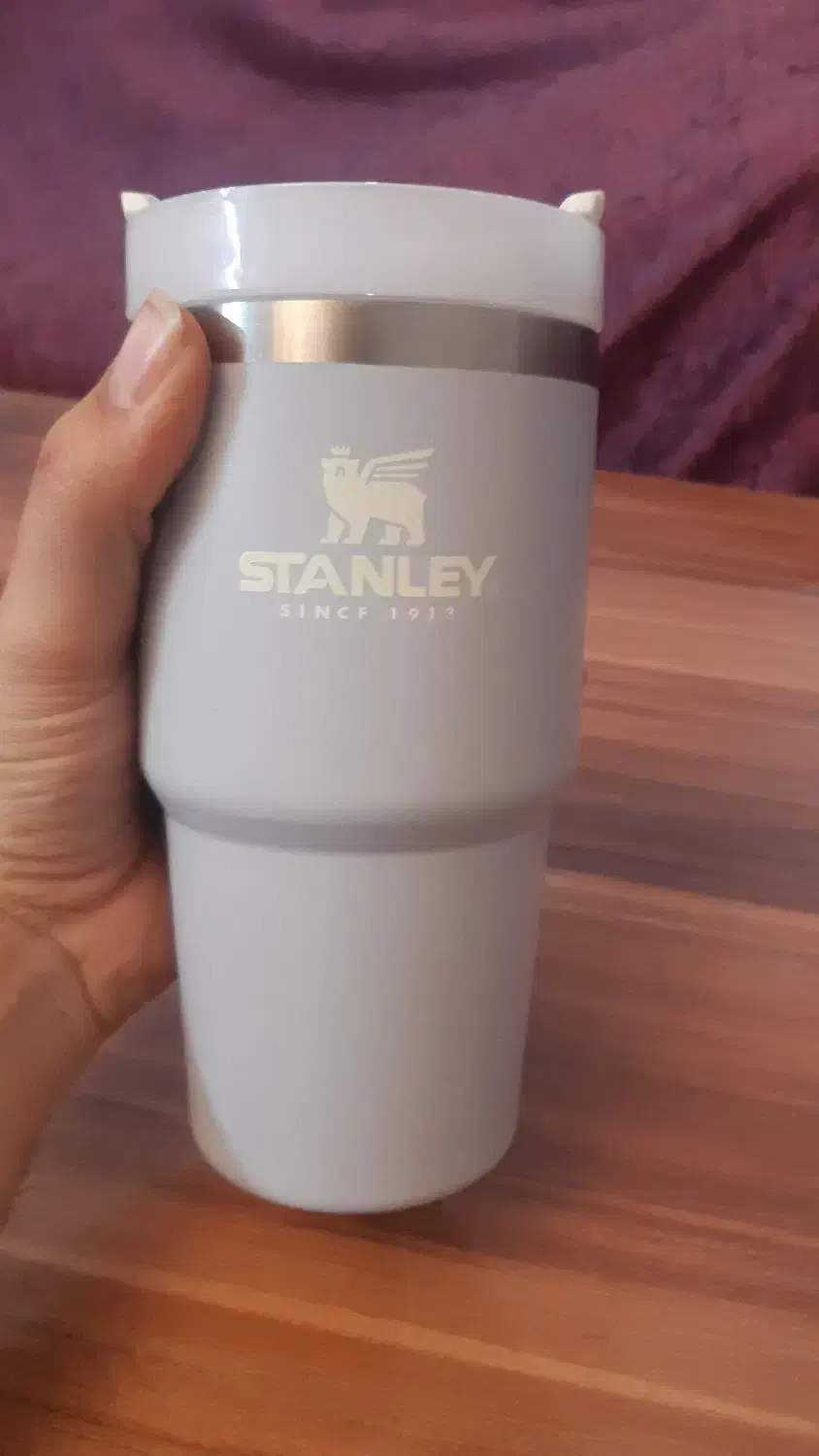 ماگ استنلی اورجینال|کوهنوردی و کمپینگ|بیرجند, |دیوار