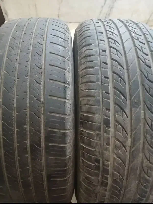لاستیک پژو|قطعات یدکی و لوازم جانبی|فولادشهر, B2|دیوار