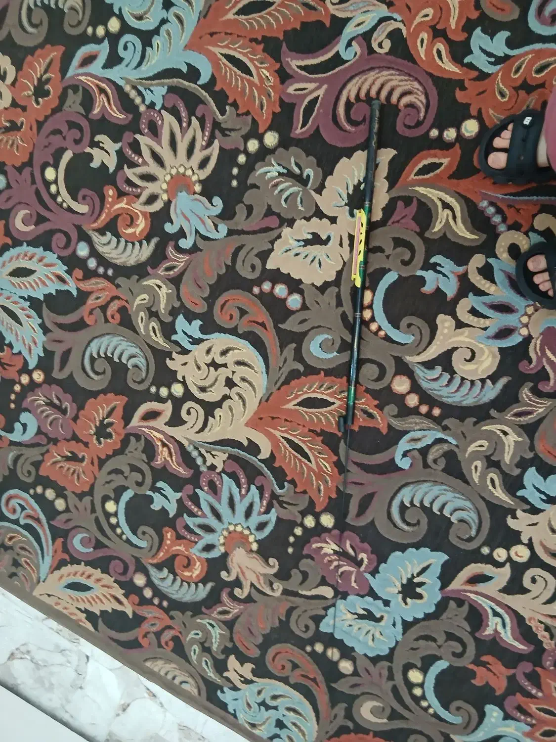 دام‌کاسی|ماهیگیری|رشت, دروازه لاکان|دیوار