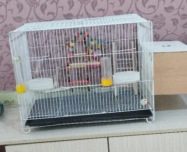 قفس پرنده|لوازم جانبی حیوانات|نیشابور, جمهوری|دیوار