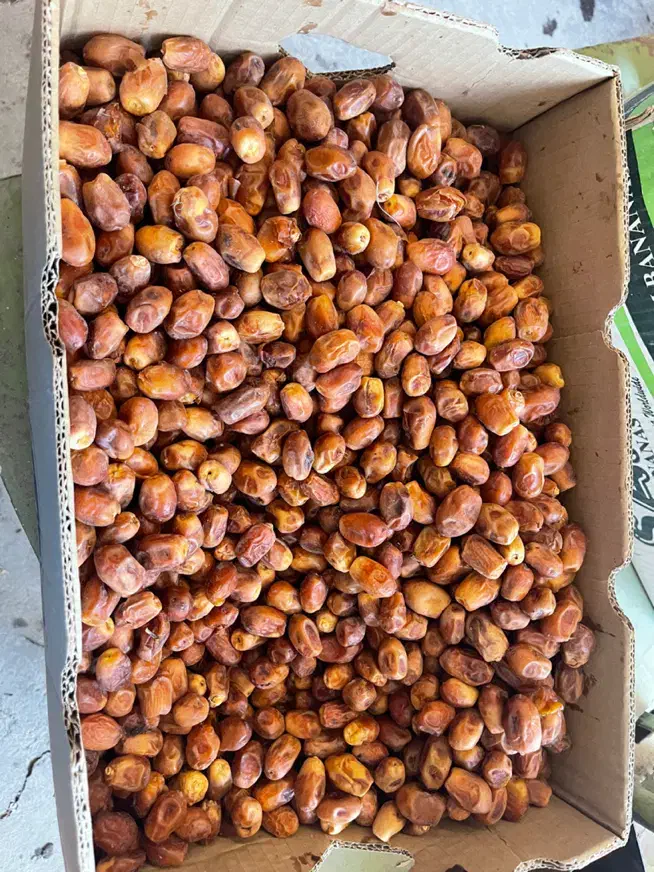 قصب|عمده‌فروشی|وحدتیه, |دیوار