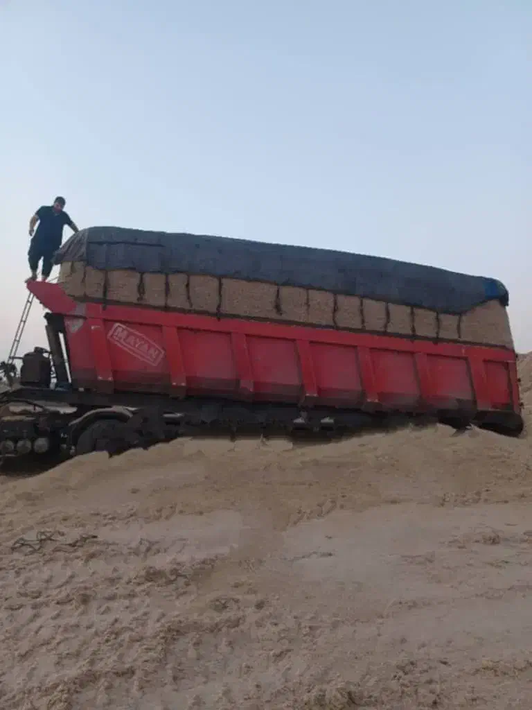 کاه باگاس|لوازم جانبی حیوانات|قزوین, |دیوار