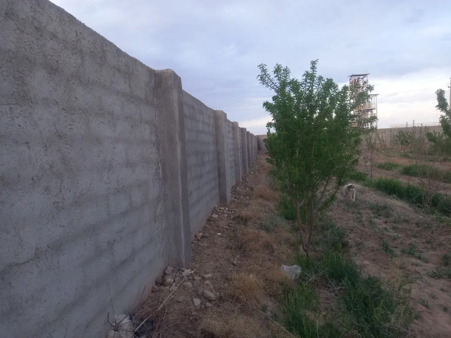 باغچه|فروش زمین و ملک کلنگی|زرندیه, |دیوار