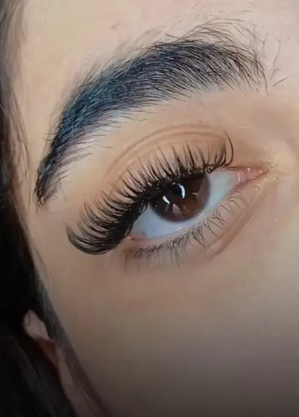 خدمات و اموزش اکستنشن مژه ، لیفت ،بافت مو ، خیاطی|خدمات آرایشگری و زیبایی|مشهد, شهید معقول|دیوار