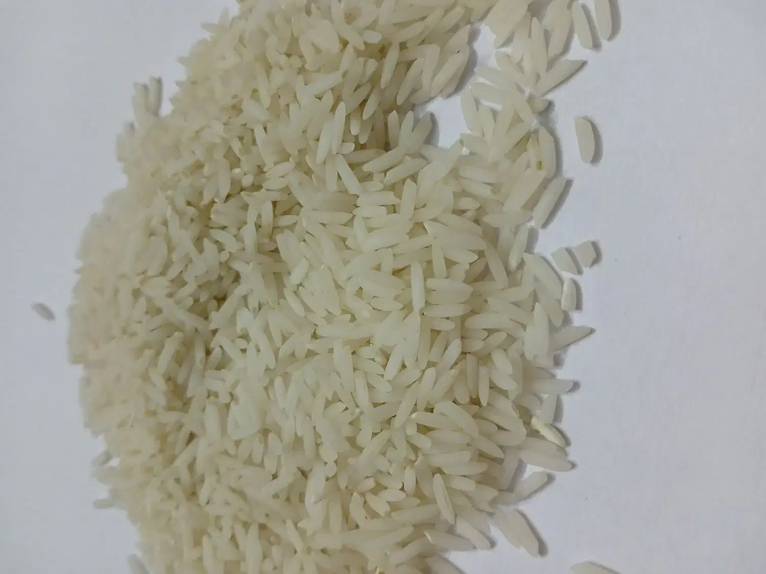 برنج دم سیاه|خوردنی و آشامیدنی|گنبد کاووس, |دیوار