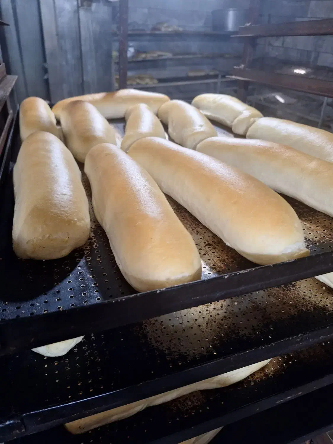 فرگردون ۳۲ دیس ماندگار و فر۱۶دیس طبقه ای ساخت کرج|فروشگاه و مغازه|کرج, مرکز تحقیقات البرز|دیوار