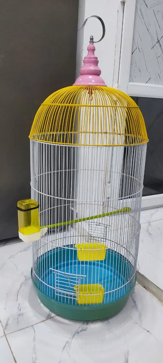 تفس بزرگ|لوازم جانبی حیوانات|رشت, گلزاران|دیوار