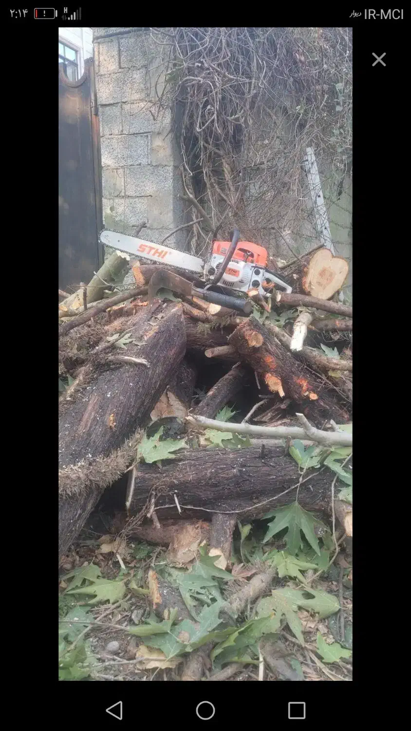 قطع درخت علفتراشی|خدمات باغبانی و درختکاری|خرمآباد (تنکابن), |دیوار