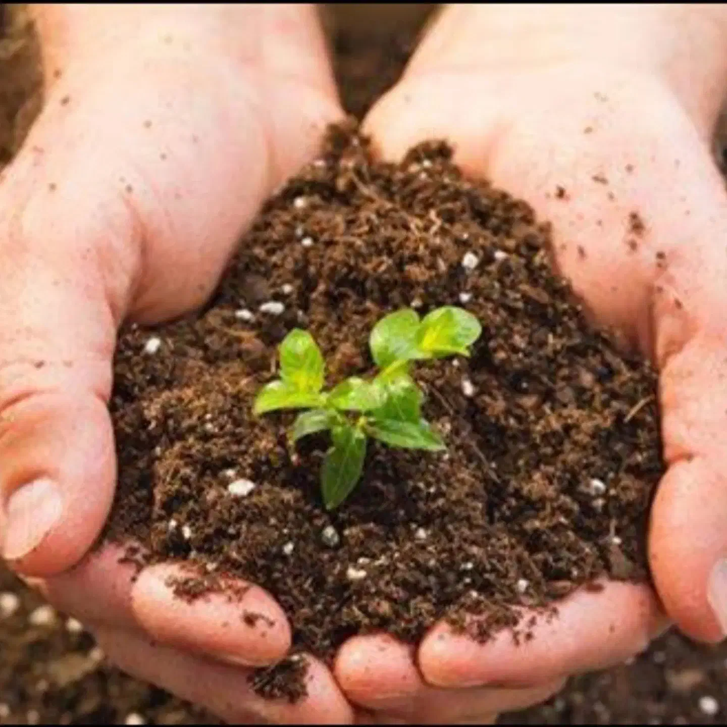 خاک حاوی هیدروپیت( مخصوص)|خدمات باغبانی و درختکاری|مشهد, فرهنگ|دیوار