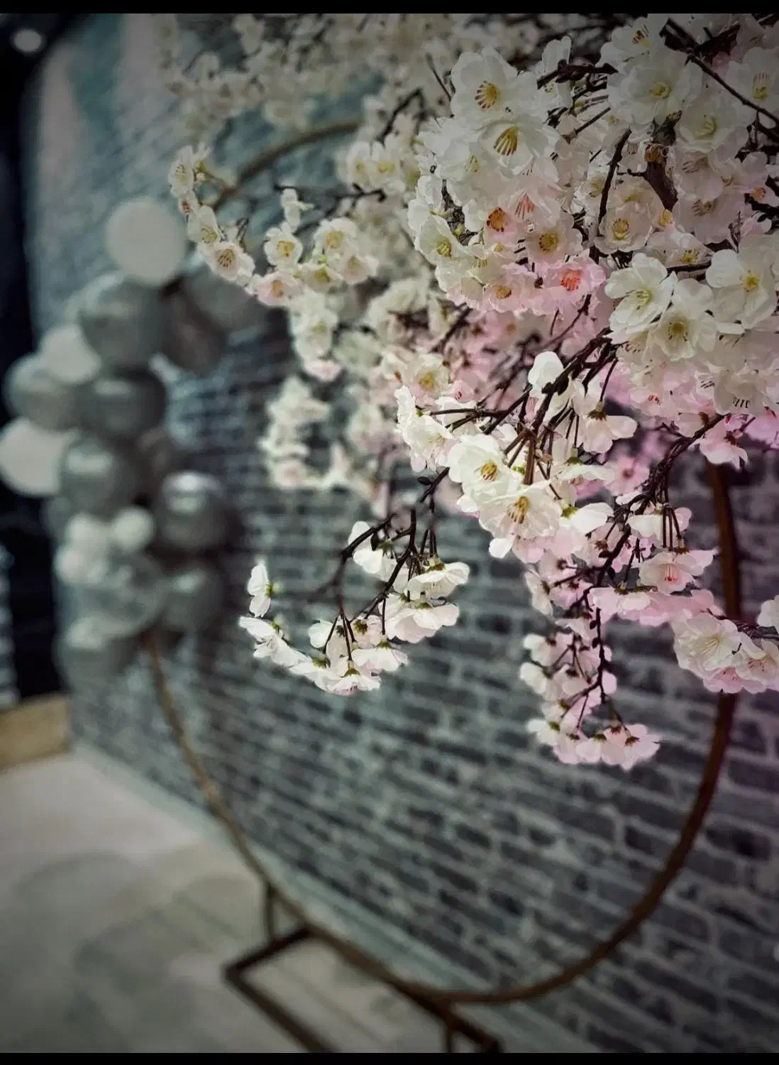 میزجشن تولد میز اختصاصی برگزاری دورهمی ها|خدمات پذیرایی، مراسم|مشهد, تربیت (صدف)|دیوار