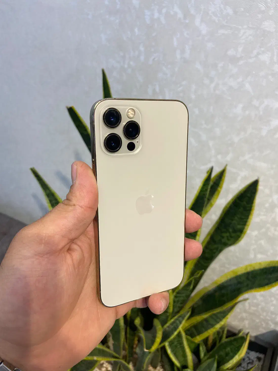 اپل ایفون۱۲ پروگلدبدون بازشدگی معاوضه و فروش اقساط|موبایل|اصفهان, مفتح|دیوار