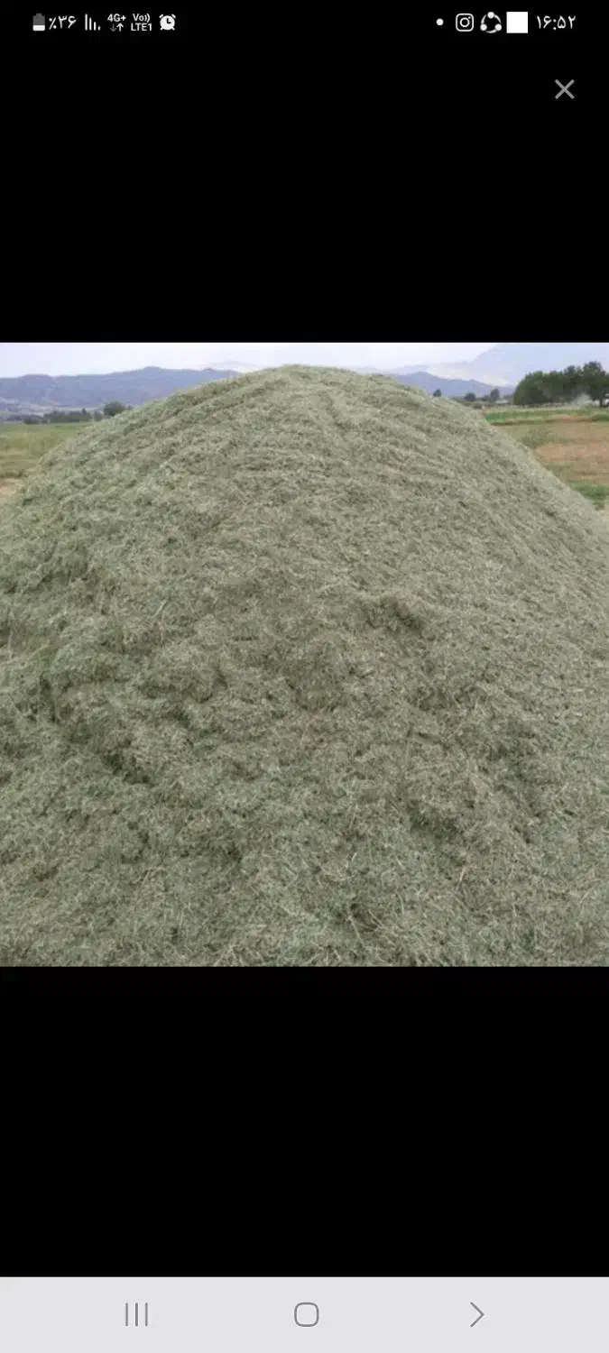 کاه یونجه کوبیده شده.|لوازم جانبی حیوانات|کرچمبو, |دیوار