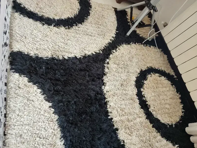 موکت یا گلیم پرزدار|موکت|همدان, |دیوار