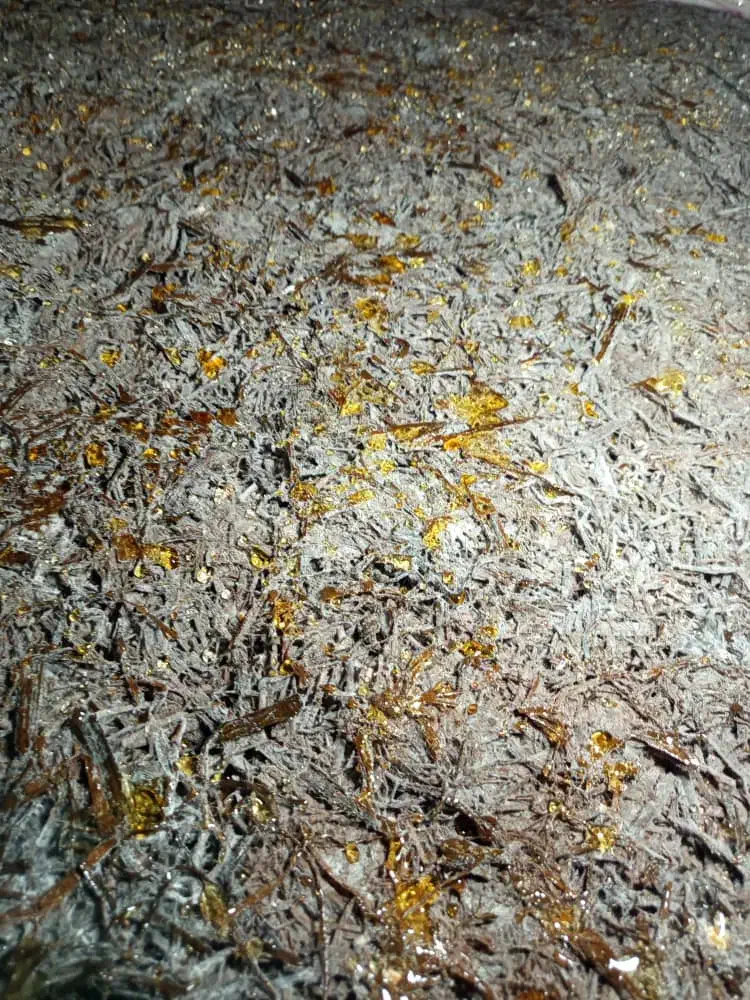 کمپوست قارچ دکمه ای|خدمات باغبانی و درختکاری|شیراز, اصلاح‌نژاد|دیوار