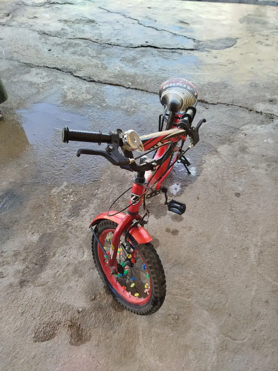 دوچرخه 16|دوچرخه، اسکیت، اسکوتر|خزل, |دیوار