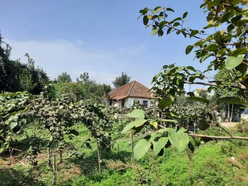 ۲۷۰ متر زمین تفکیک قابل ساخت محله پلاسی|فروش زمین و ملک کلنگی|چوبر, |دیوار