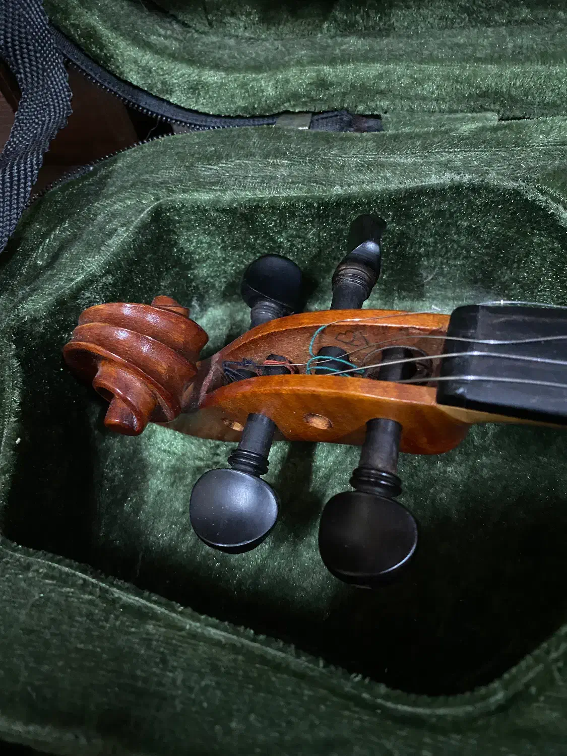 ویولن دست ساز|ویولن|رشت, کوی فکوری|دیوار