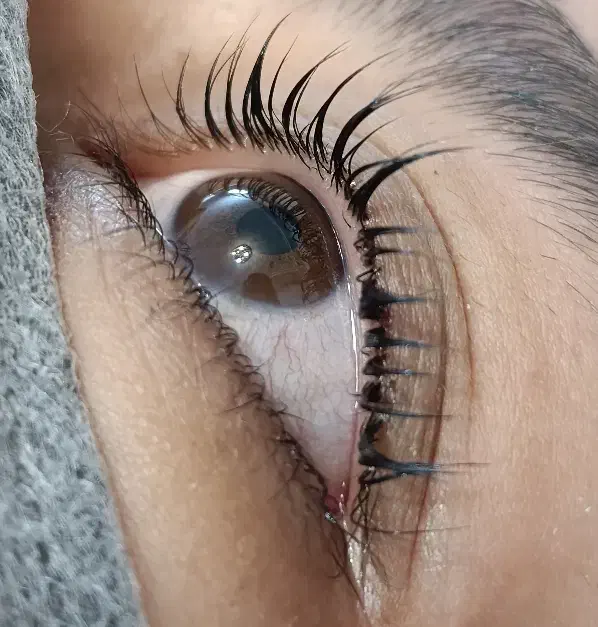 آموزش تخصصی|خدمات آموزشی|مشهد, کوثر|دیوار